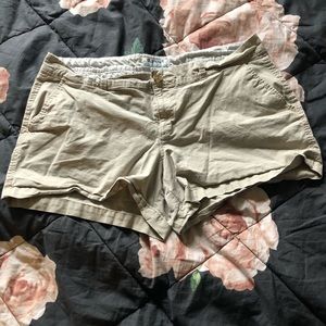 Khaki Shorts
